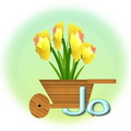Jo_daffodils