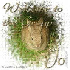 rabbit_welcome