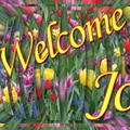 tulips_welcome