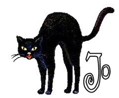Black_cat_Jo