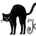 Black_cat_Jo