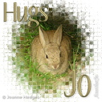 rabbit_hugs
