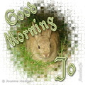 rabbit_good_morning