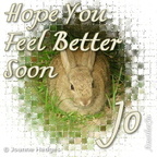 rabbit_feel_better