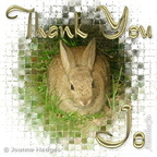 rabbit_thank_you
