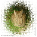 rabbit_mosaic_blank_byJo