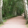 sherwood_path