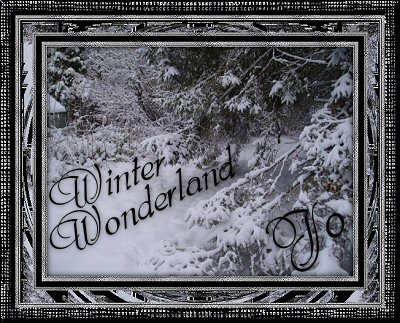 Winter_Wonderland_byJoyce