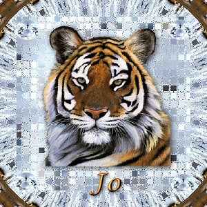Tiger_for_Jo_byJoyce.jpg