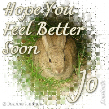 rabbit_feel_better.jpg